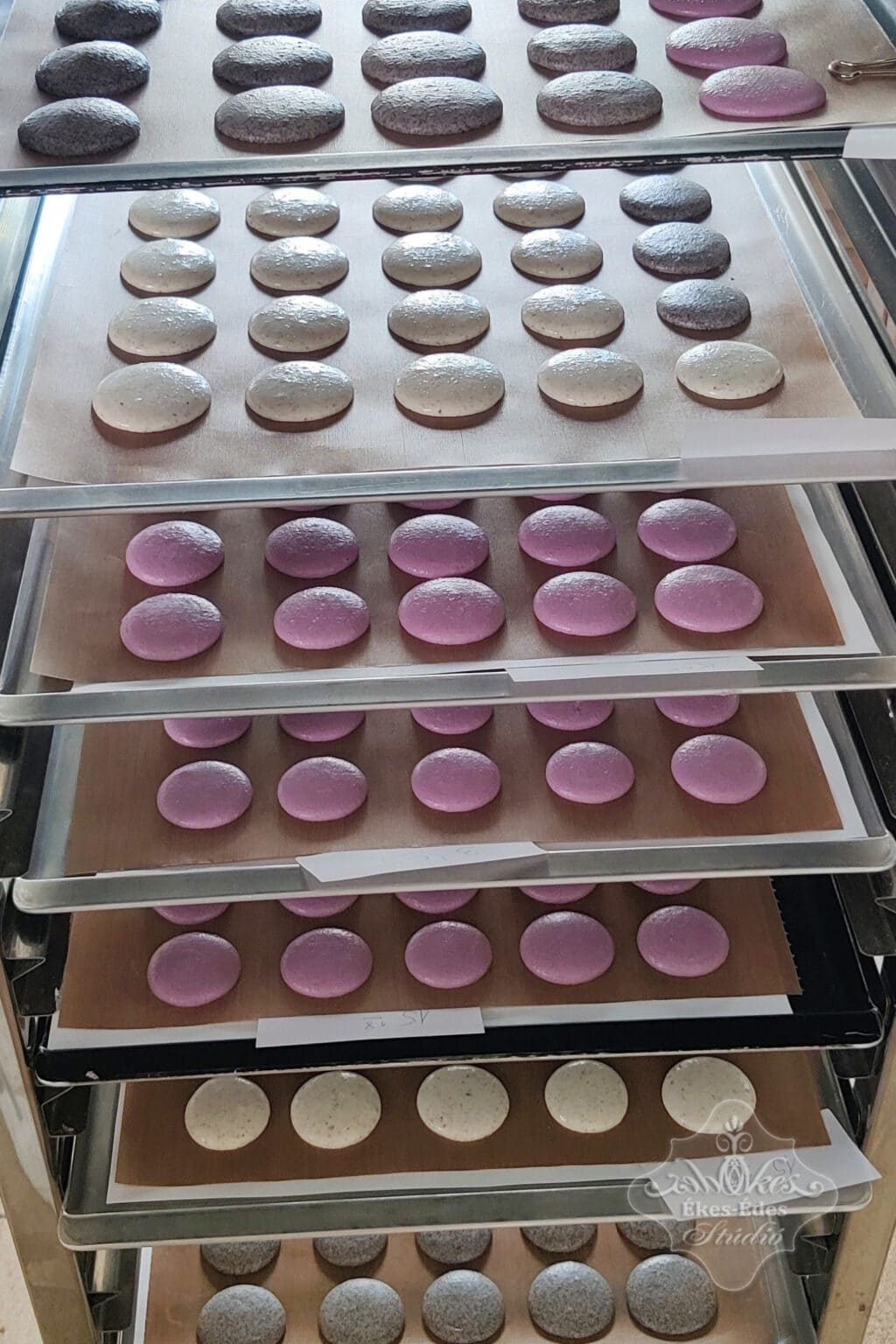 macaron-tanfolyam-pihentetes