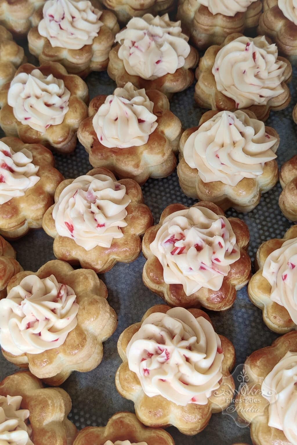 retes-tanfolyam-sajtos-zoldseges-hase