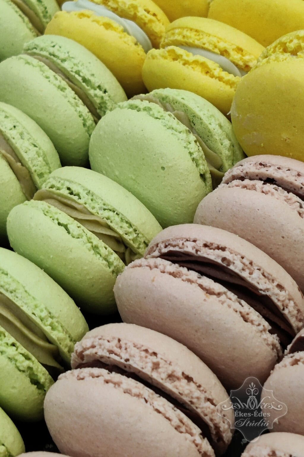 tortasuto-2-tanfolyam-macaronok